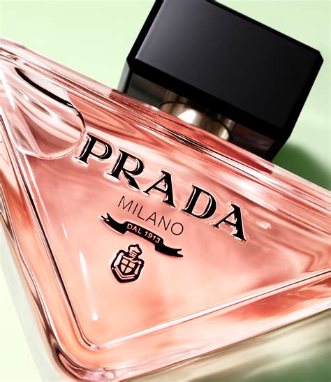 prada paradox bag|prada paradoxe echo.